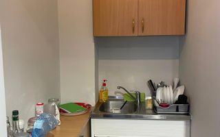 Apartament 3 camere, renovat, pretabil firmă, Națiunile Unite - Poză 9