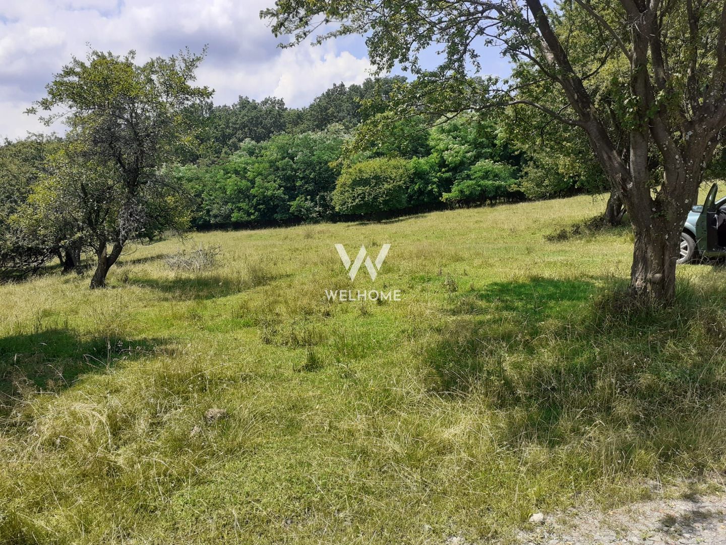 Teren Extravilan situat la intersectia DN1 cu Transfagarasan - Poză 3