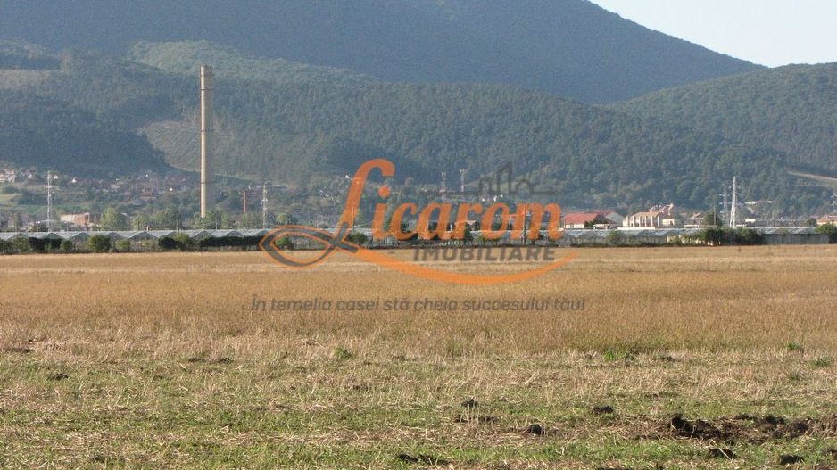 Codlea teren constructii industriale sau logistice 8 ha pana la 24 Ha - Poză 10