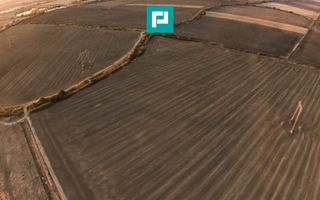 Teren arabil 68,800mp Zimandu Nou - Poză 6