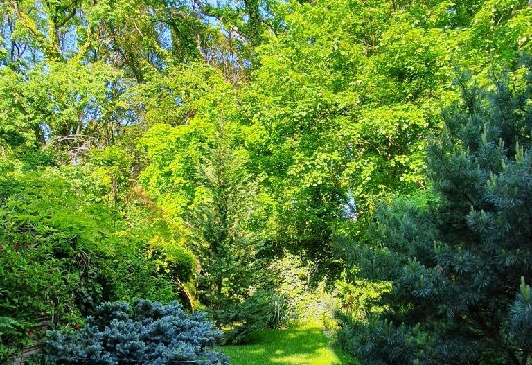 Vila P+1 Liceul Francez/Academia de Politie - Poză 16