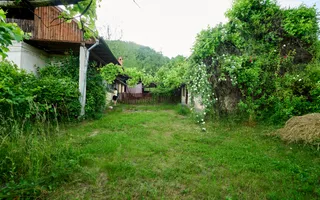 Casa cu teren generos - 4696 mp Apa Sarata - Campulung !! - Poză 22