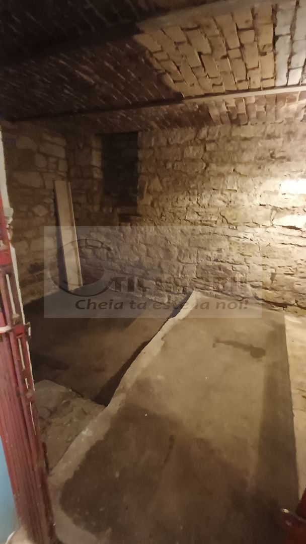 APARTAMENT ULTRACENTRAL , PIATA UNIRII, CUZA VODA 70 MP PLUS CURTE - Poză 57