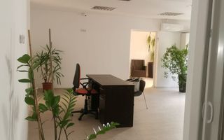 STADIONUL FARUL(COD03) - Vila cocheta si curte frumoasa ! - Poză 6