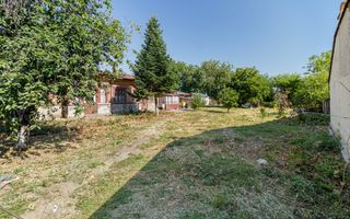teren 3889 mp Domnesti Primarie - Poză 4