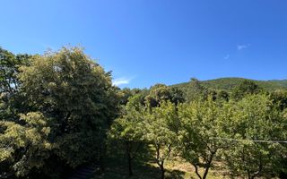 Casă de vacanță la munte, locuibilă, teren mare, Sadu/Tocile/Sibiu - Poză 16