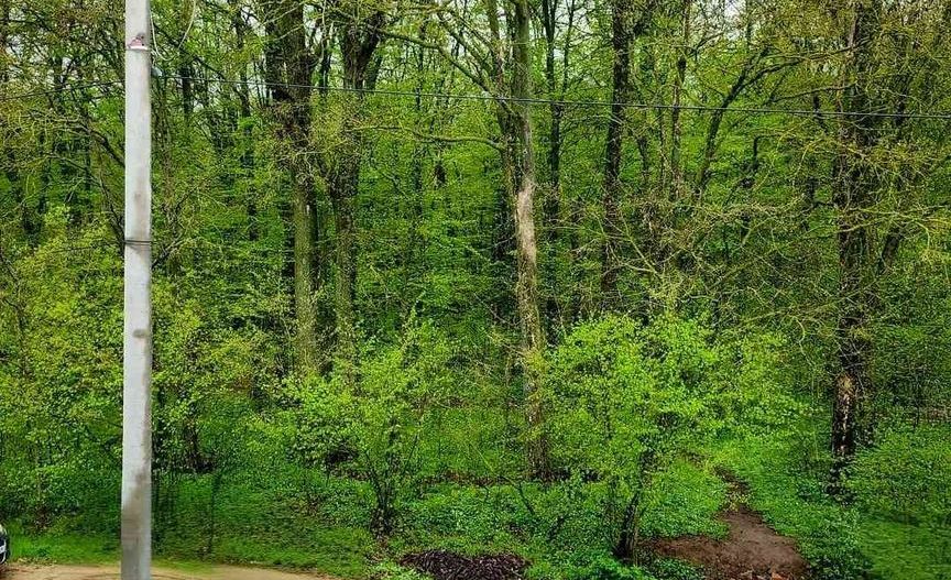 Casă tip duplex de vânzare | Tunari | Acces direct la pădure - Poză 15