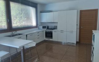 VILA CU PISCINA| DE INCHIRIAT | PIPERA | EROU IANCU NICOLAE - Poză 4