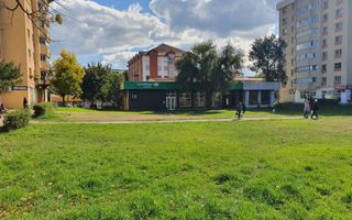 Spatiu comercial Nicolina - Poză 1