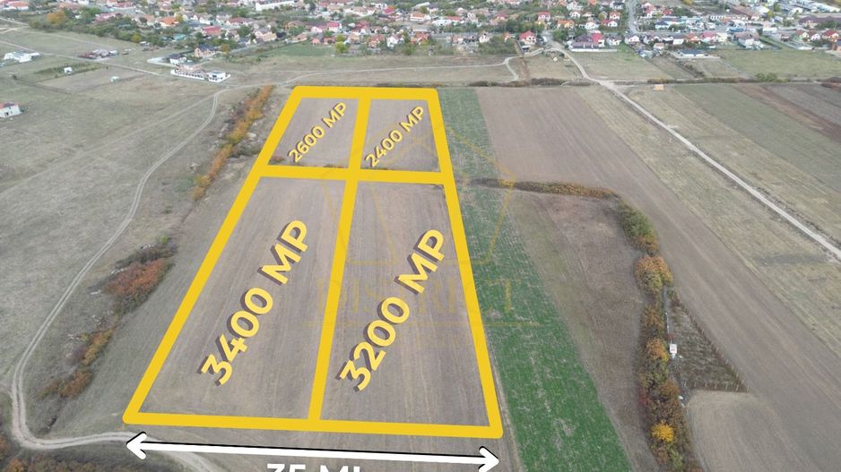 Teren arabil Intravilan 11600mp | LmP | Remetea Mare | COM 0% - Poză 1