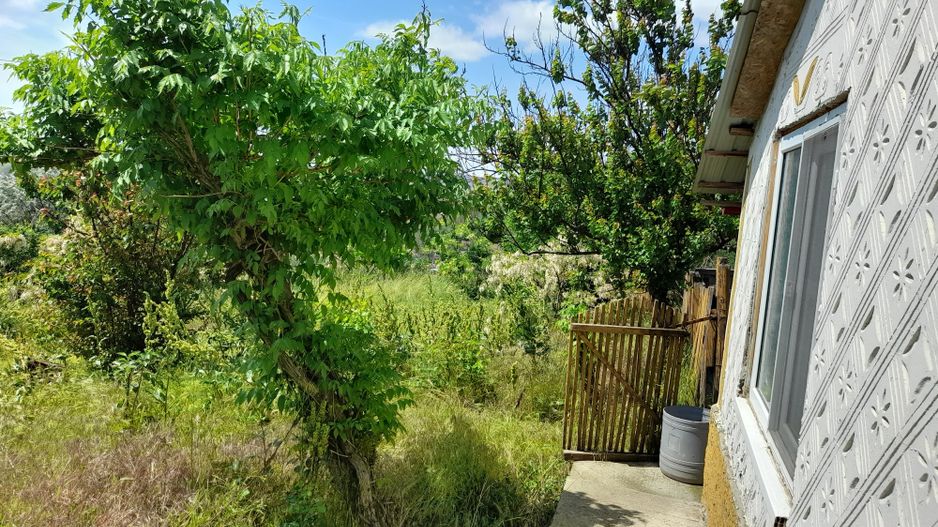 Casă cu teren de 1.470 mp de vânzare – Fântânele, Scânteiești - Poză 45