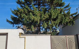 Spațiu birouri + depozitare în Jilava – ideal firmă, magazin on-line - Poză 23