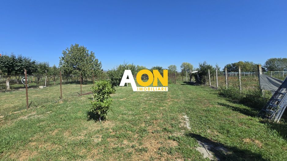 Casa 5 Camere 1700mp Teren, 10km de Alba Iulia - Poză 23