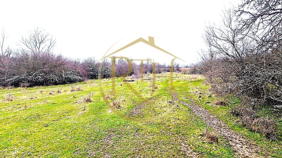 Terenuri extravilane de vânzare – Vizma & Crivobara, comuna Secaș, jud. Timiș - Poză 1