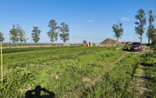 🌳 Teren Intravilan iesire Vorovești - 500 mp - 20.000 Euro 🏡 - Poză 7