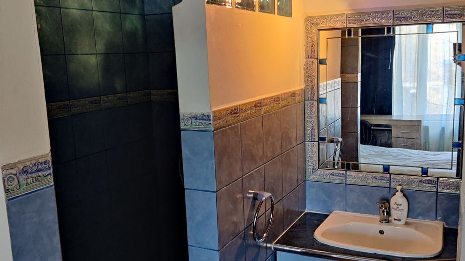 APARTAMENT  4 CAMERE C.ARADULUI 650 EURO - Poză 6