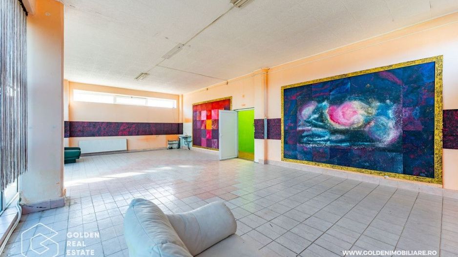 Hala pentu productie In zona Micalaca - Poză 29