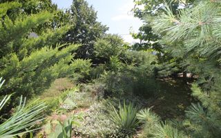 Vanzare Vila  Pipera 1350 mp teren adiacent Iancu Nicolae - Poză 51