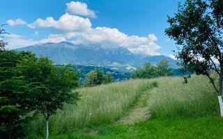 Vilă in Bran cu teren de 28.000 mp și priveliște spectaculoasa - Poză 26