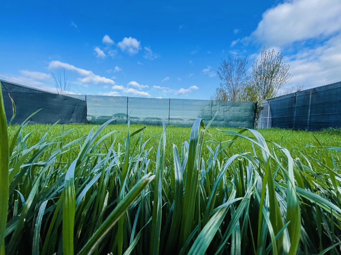 Casa din Dumbravita, 4 camere, 110 mp - Confort si liniste - Poză 7