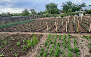 Casa Parter+Pod 90 mp+anexa 60 mp + atelier + teren intravilan 1600 mp - Poză 44