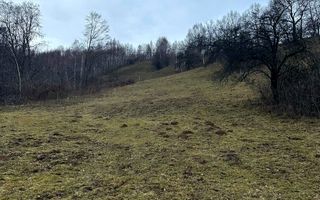 TEREN 11.500 MP + CASA AUTHENTICA ÎN BRAN – ȘIMON | VEDERE BUCEGI - Poză 8