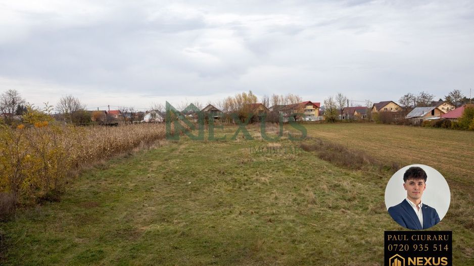 Teren Nicolae Bălcescu 3942 mp intravilan - Poză 5