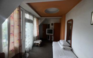 VILA - PENSIUNE CU RESTAURANT + SI TEREN 6406 MP, VALEA MARE PRAVAT, - Poză 45