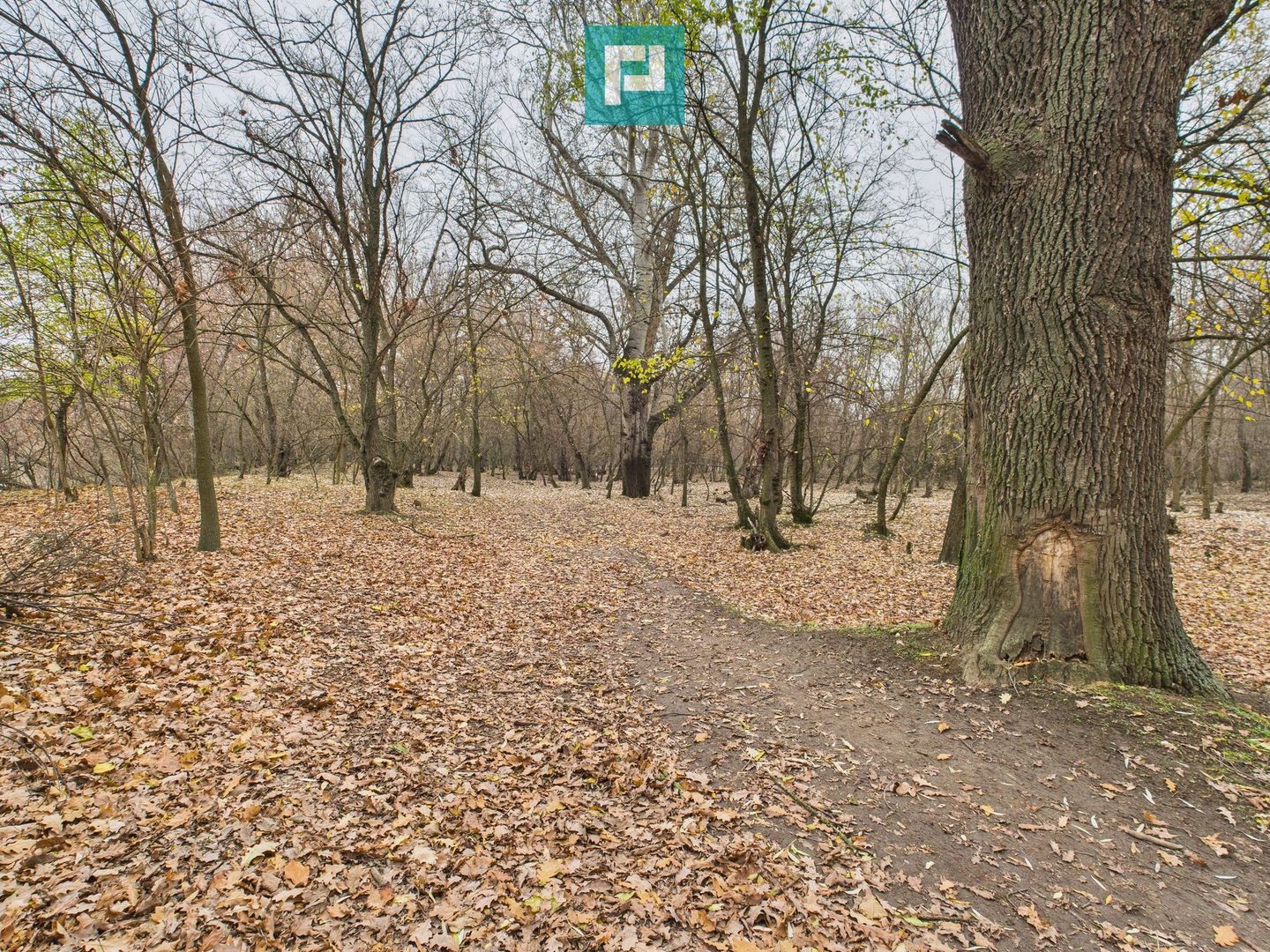 Teren spectaculos la  Periam Port - Poză 8