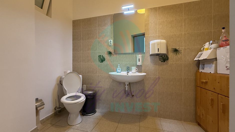 Grădina Icoanei – vilă cu potențial multiplu - Poză 14