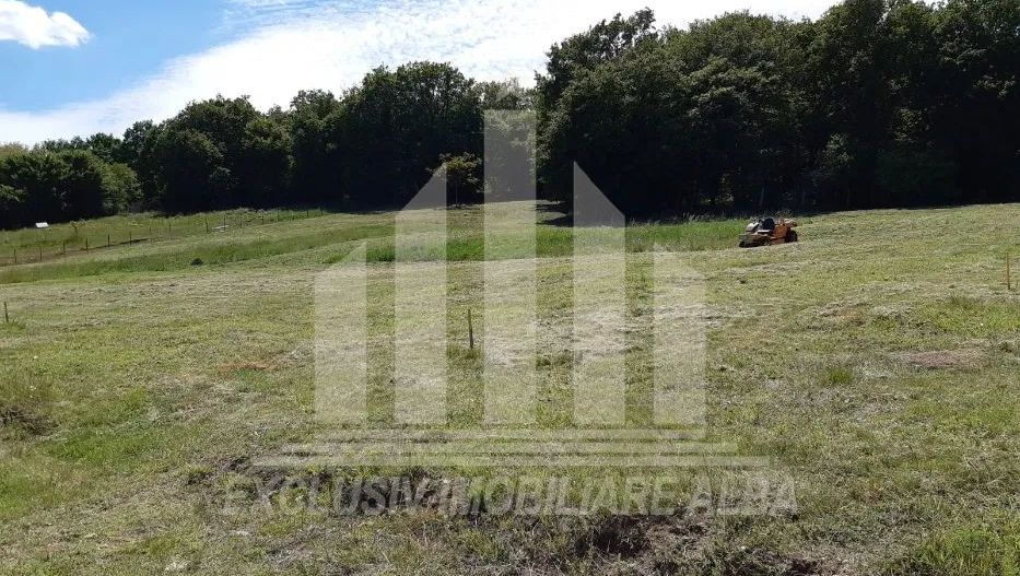 Teren intravilan de vanzare, Micesti - Poză 4