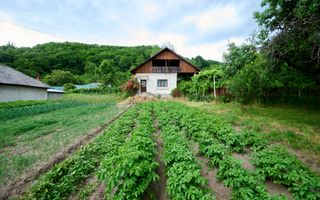 Casa cu teren generos - 4696 mp Apa Sarata - Campulung !! - Poză 4