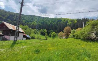 Teren Voineasa/Intravilan/5500 mp - Poză 3