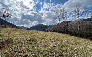 Teren intravilan I 1000 mp I Raul Sadului - Poză 5