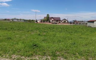 🌿 Teren de vânzare – Răcari, Str. Mestecenilor - Intrarea cu Tei - Poză 11