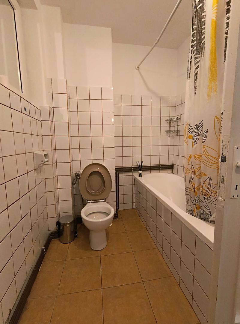 Sala Palatului- Cismigiu- Brezoianu - Poză 7