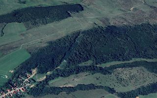 Pădure matură 12,71 ha - Mag, jud. Sibiu - potențial exploatare 2025 - Poză 2