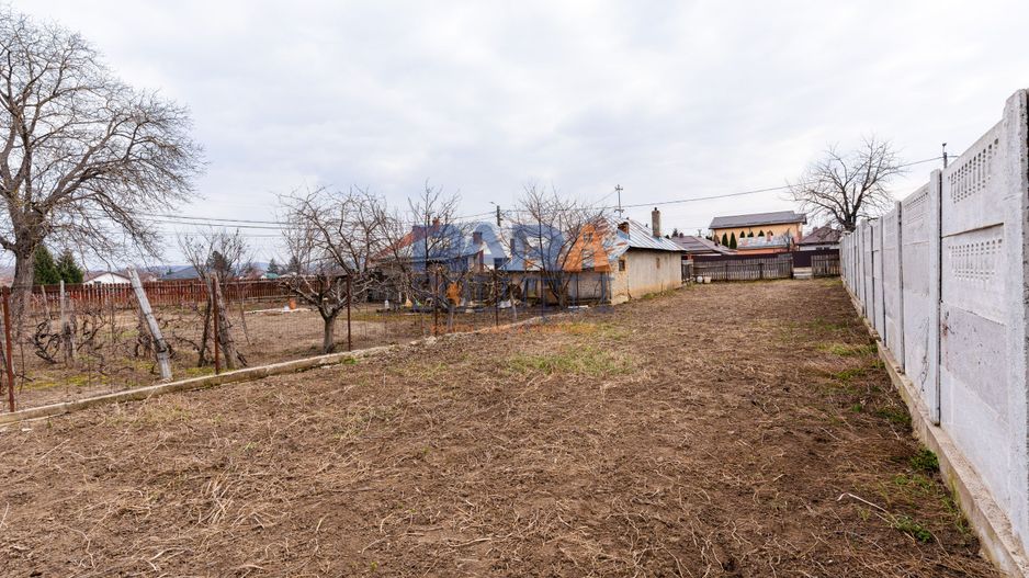 Grădină 300 mp - în oraș - Poză 6