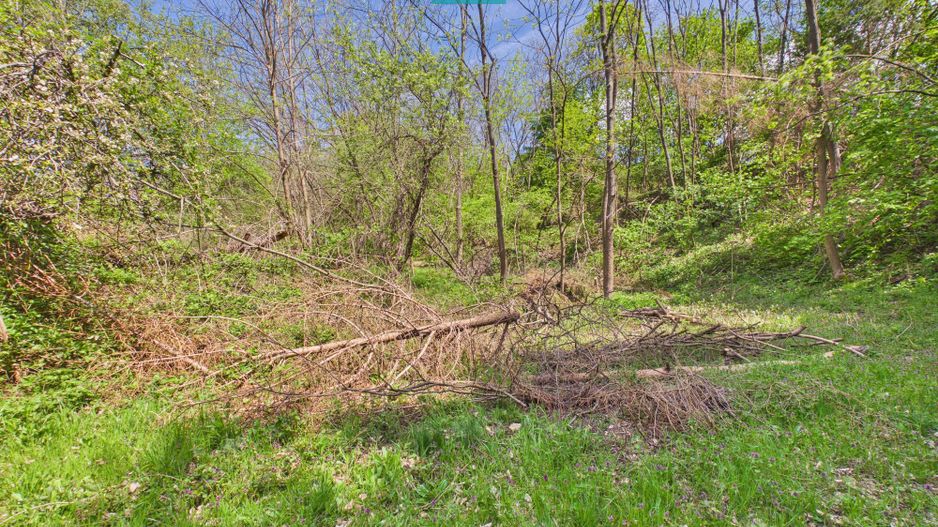 Proprietate rară cu 24.270 mp, în Măgulicea, Arad! - Poză 32