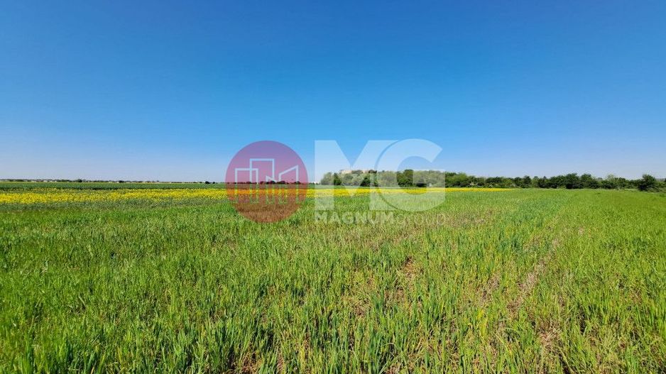 Teren de vanzare in Magurele Ifov Centura Bucuresti - Poză 1