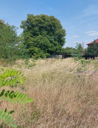 Vanzare teren intravilan, Calea Campulung, zona Cora - Poză 4
