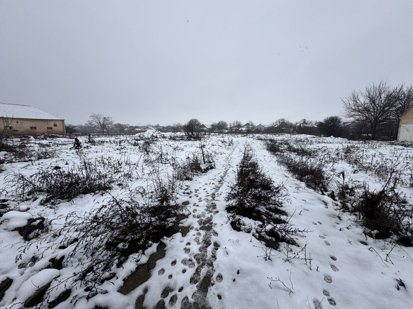 Teren Intravilan Becicherecu Mic 3200mp,F.S 40ml la DN6,Utilitati - Poză 3