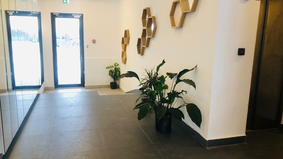 Garsoniera Moderna, Centrala Proprie, Bloc nou - Poză 10