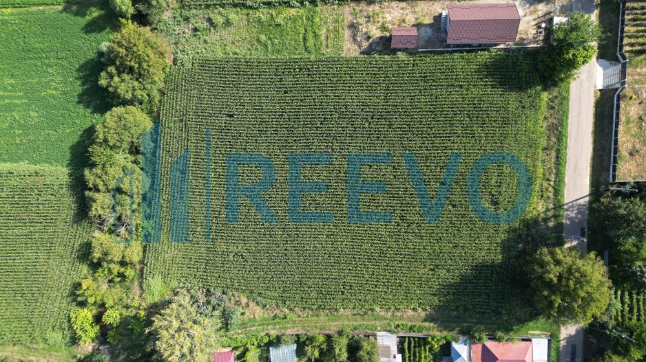 Teren intravilan de vânzare, Sat Bogdănști, Com. Traian - Poză 11
