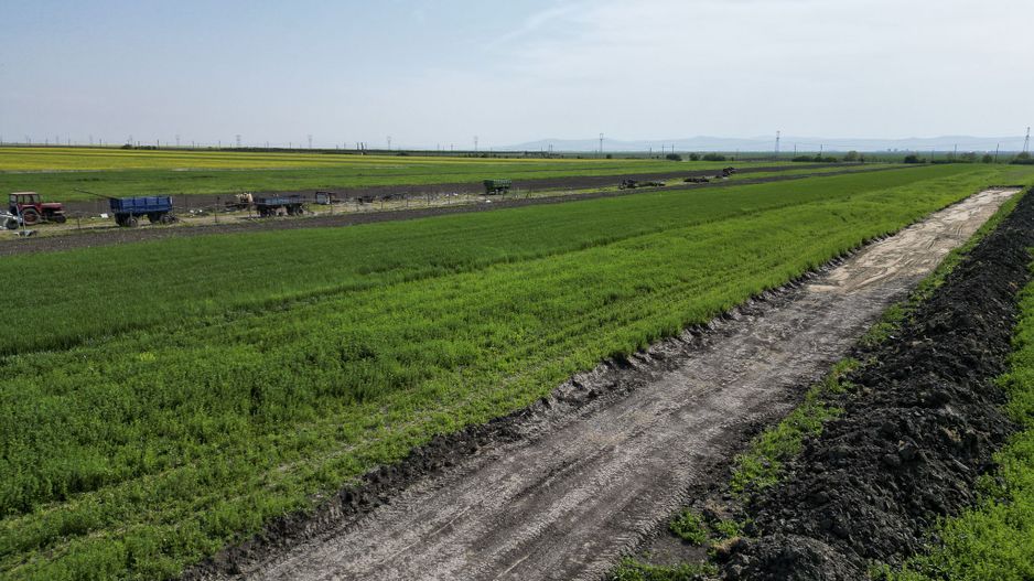 Loc de casa de 504 mp în Livada - Poză 13