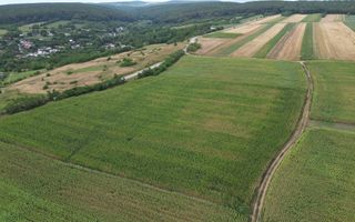 Teren de 3.600 mp Racova - Poză 8