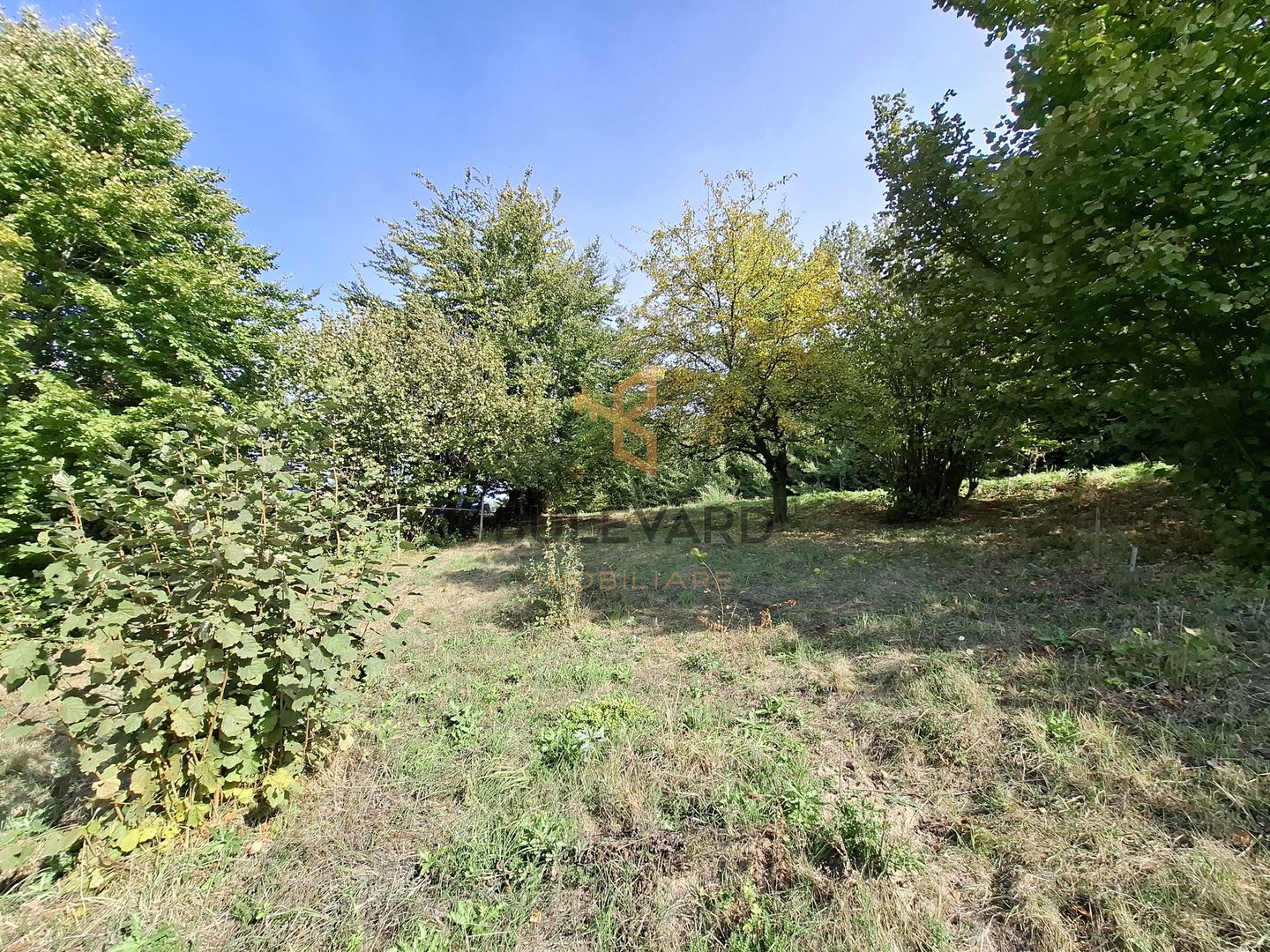 Comision 0. Teren cu autorizatie de construire in Salicea - Poză 7