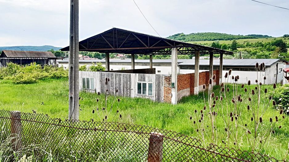 Oportunitate investitie la DN1 in loc. Persani, 2715mp -16euro/mp - Poză 8