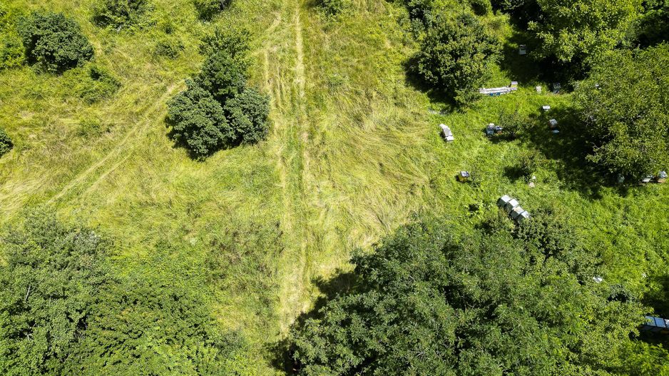 Teren pe deal la Sebiș - Poză 10