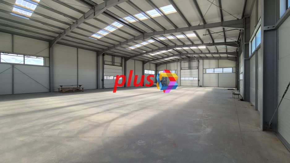 Hala - 1400 mp  # plus-imo.ro - Poză 22